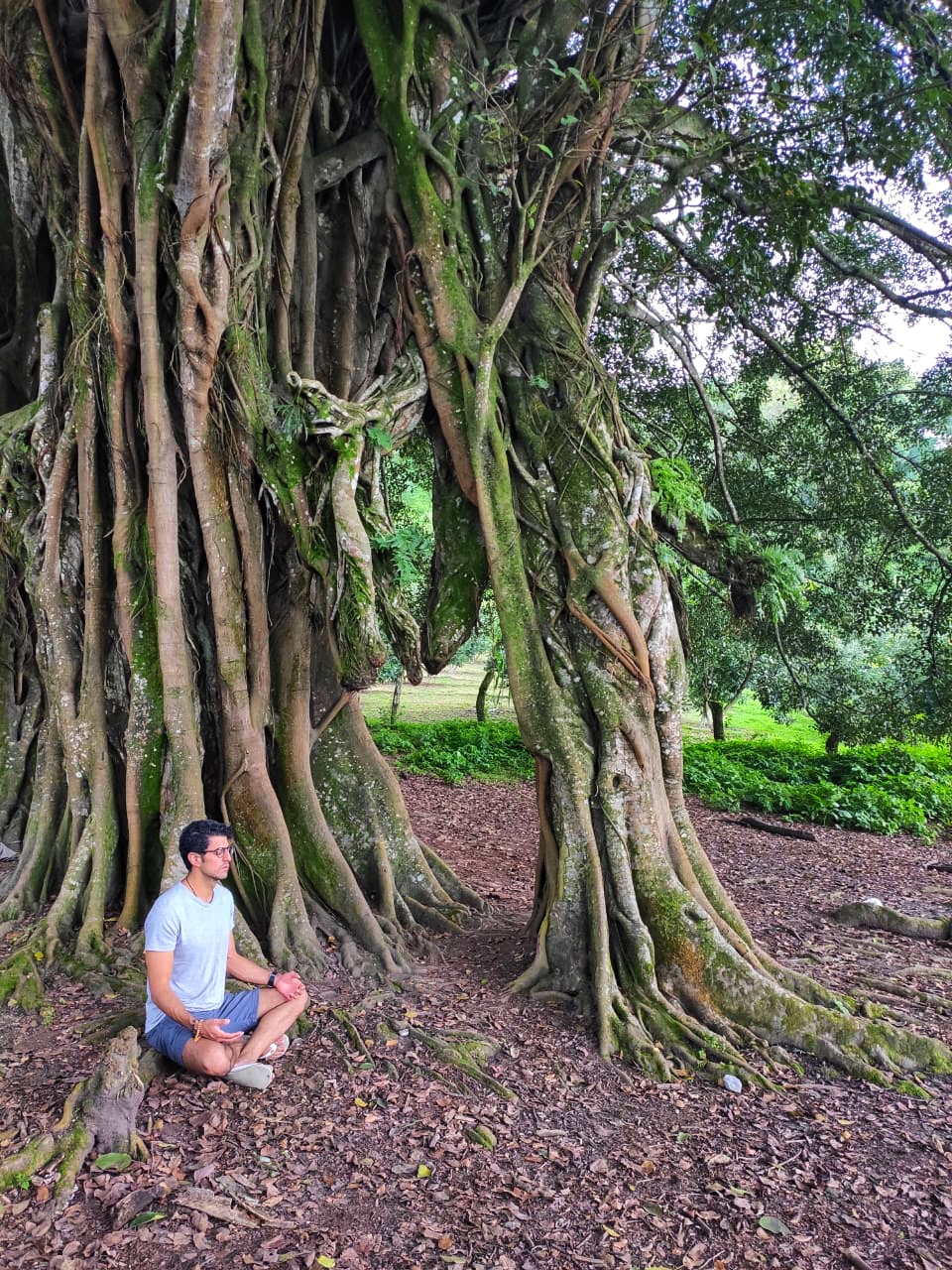 Jorge Bolio-Estratega de vida. Te acompaño en tu proceso de transformación y desarrollo personal.