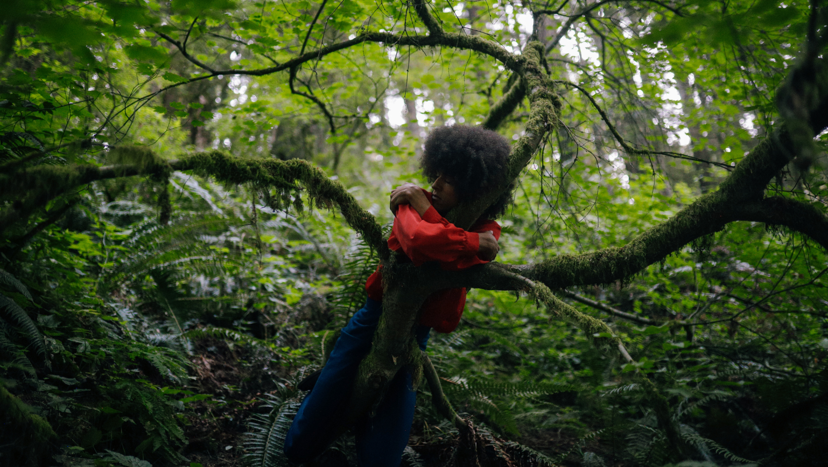 Confiar en la vida y soltar el miedo